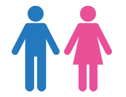 男女比率